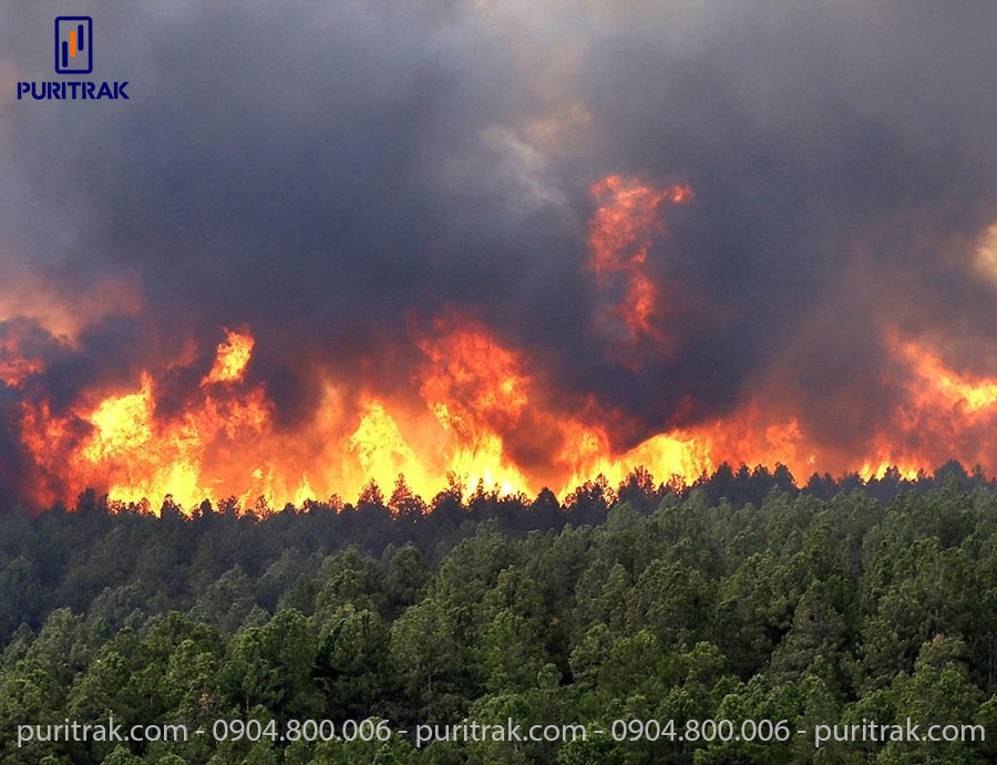 The cause of air pollution is from forest burning