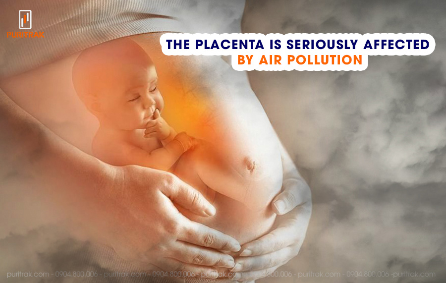 The placenta is seriously affected by air pollution