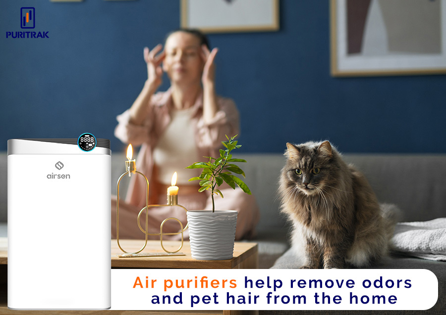 Can air purifiers remove pet odors and pet hair?